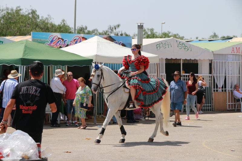 Fiesta del caballo