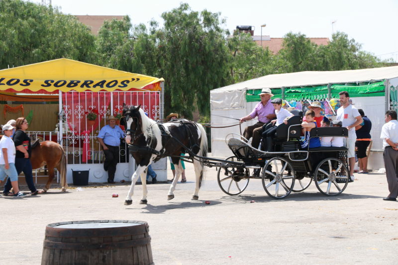 Fiesta del caballo
