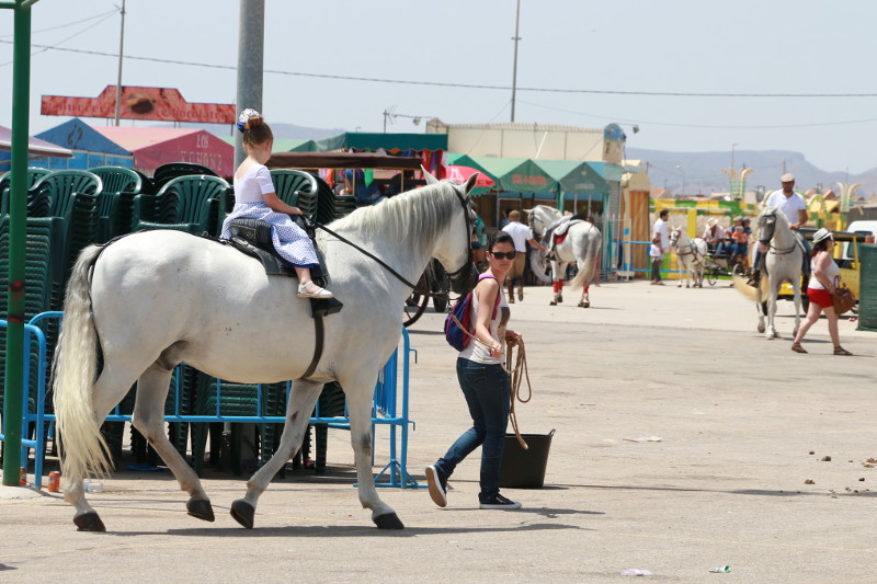 Fiesta del caballo