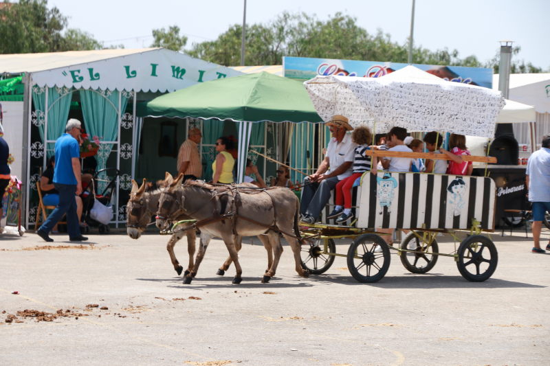 Fiesta del caballo